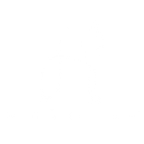 My Store